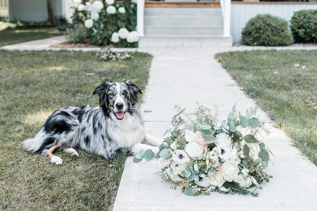 Lucknow Ontario Backyard Wedding