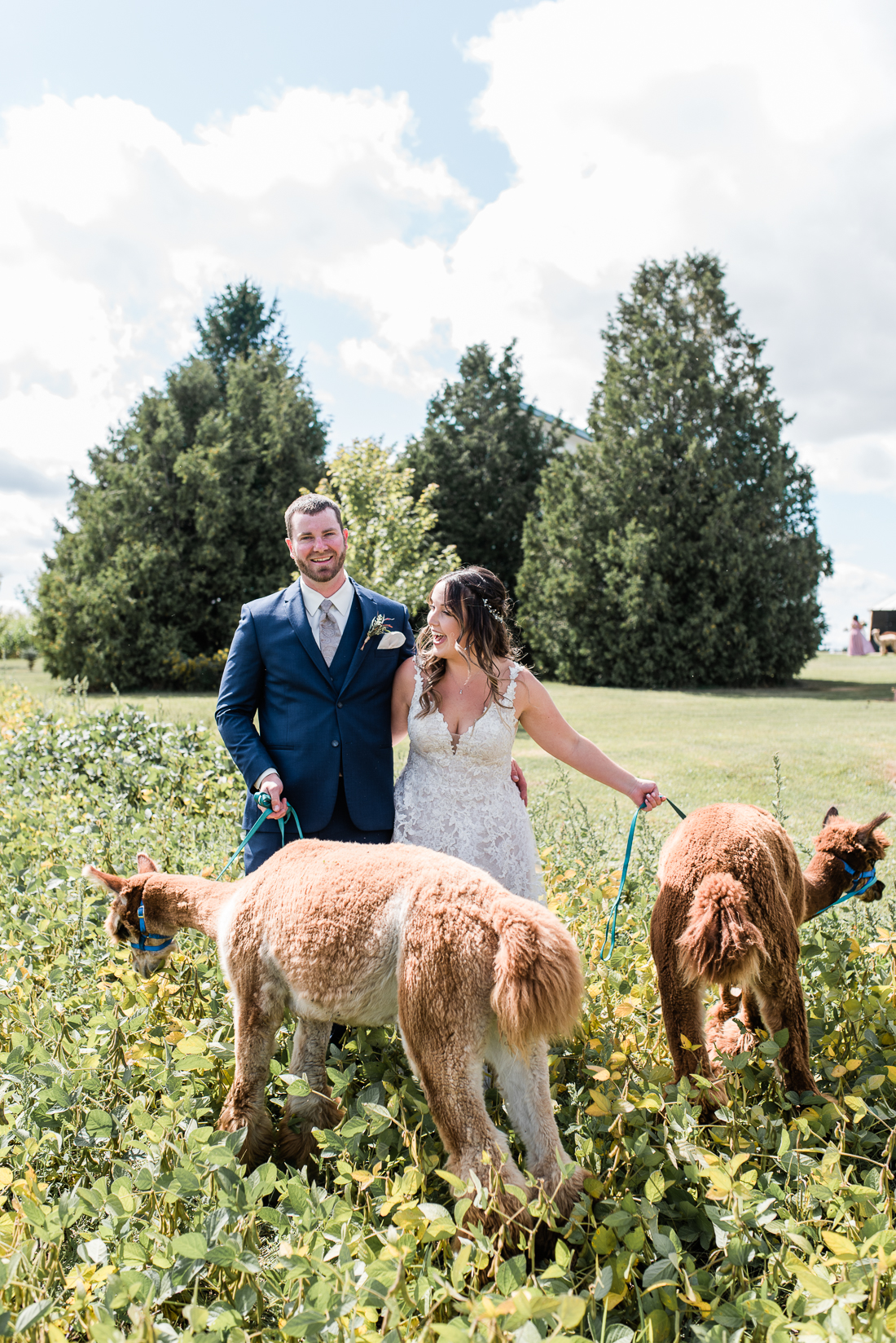 Gorrie Ontario Backyard Wedding