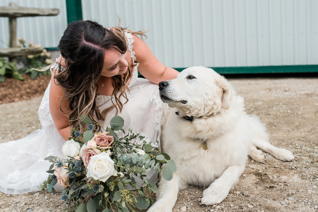 Gorrie Ontario Backyard Wedding