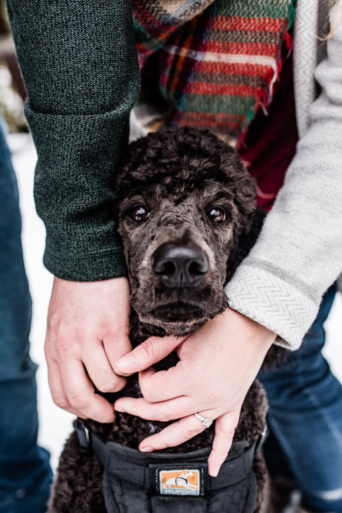 Bannockburn Winter Engagement Session